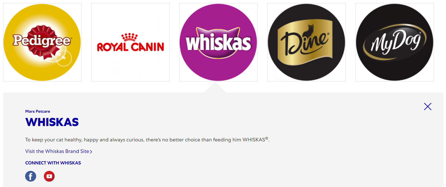 Is Whiskas Supportive of Israel? Explained Ulastempat International