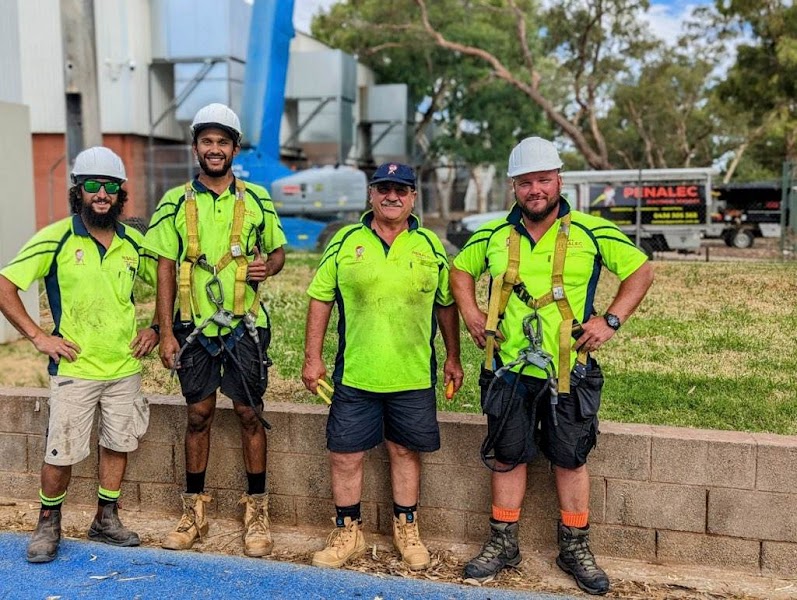 Penalec Electrical Services in Alice Springs, Northern Territory