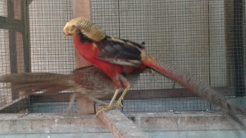 Perumahan Mawar yang ada di Kembangan, Jakarta Barat