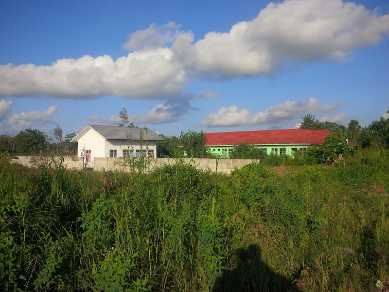Foto salah satu RS di Mesuji