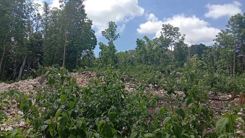 Foto salah satu RS di Sumba Barat