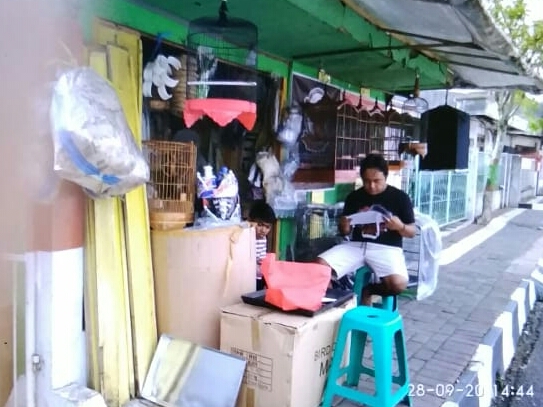 Toko Burung (1) terbaik di Kab. Wonosobo