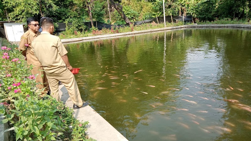 Kolam Renang Asri in Kab. Situbondo