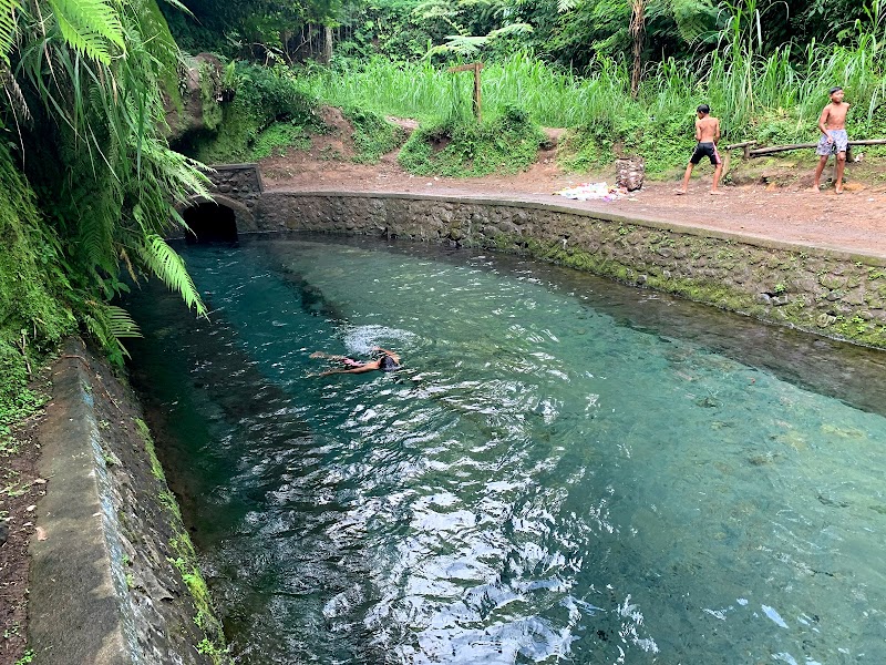 Petite Piscine in Karang Asem