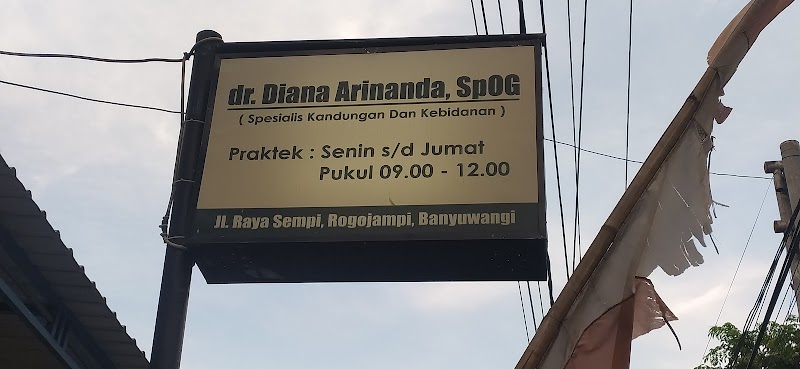 Praktek dr. Diana Arinanda, SpOG Rogojampi in Kab. Banyuwangi