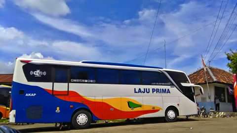 AGEN BUS TUNGGAL DARA PLUIT in Jakarta Utara